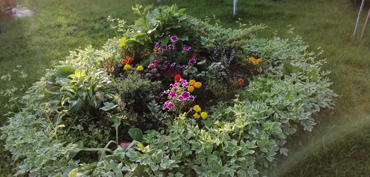 Działka rod Poddębice. Zdjęcie 2