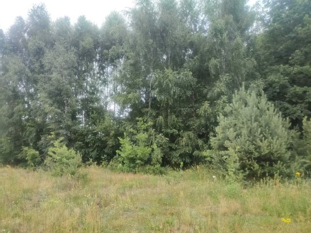 Działka budowlana Aleksandrów Łódzki. Zdjęcie 1