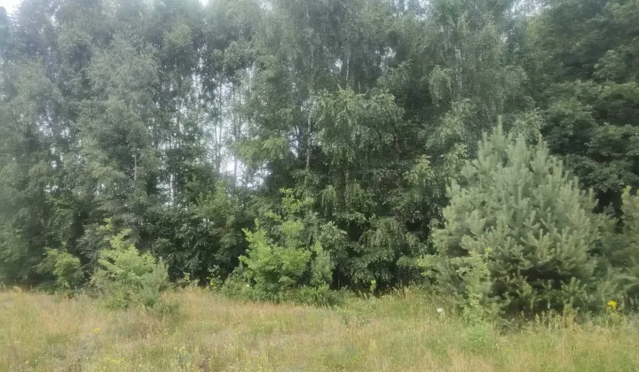 Działka budowlana Aleksandrów Łódzki