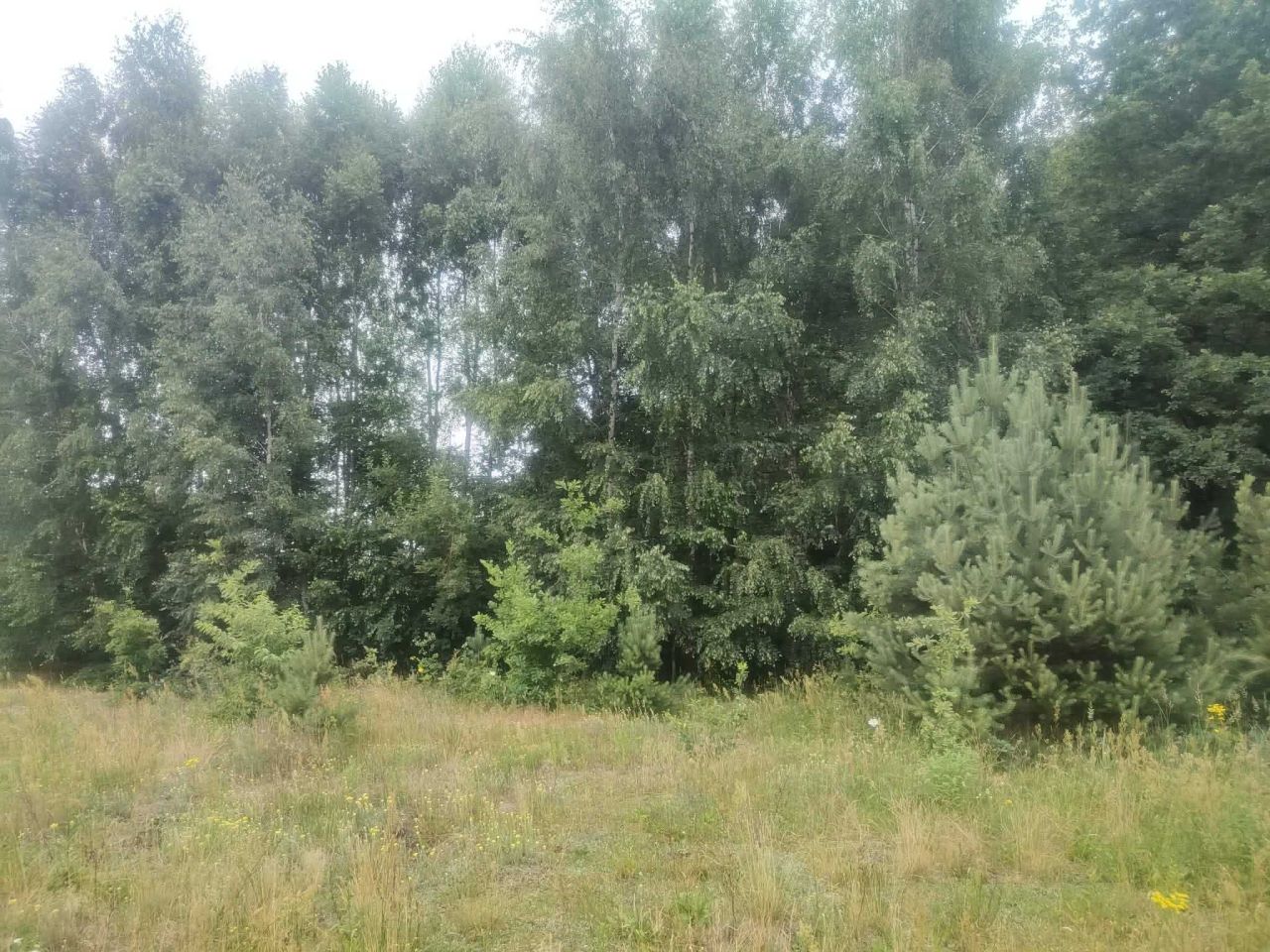 Działka budowlana Aleksandrów Łódzki. Zdjęcie 1