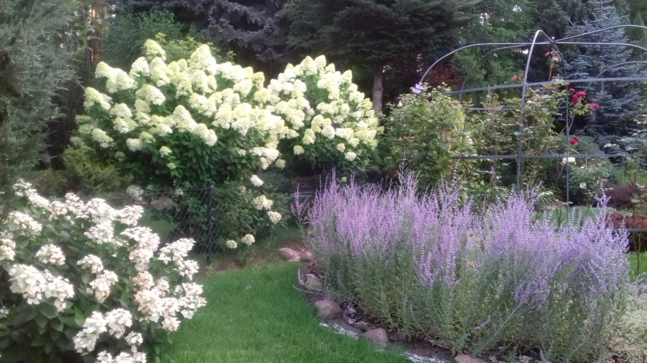 Działka rekreacyjna Wrząca, ul. Wrzosowa