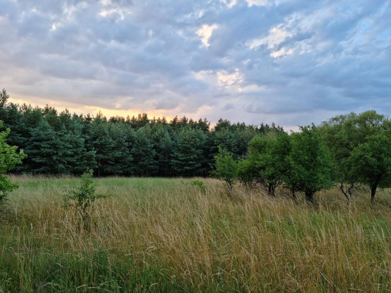 Działka budowlana Czarże, ul. Leśna. Zdjęcie 3