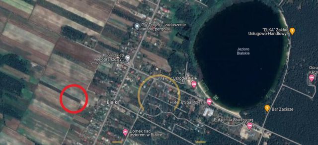 Działka rekreacyjna Białka. Zdjęcie 5