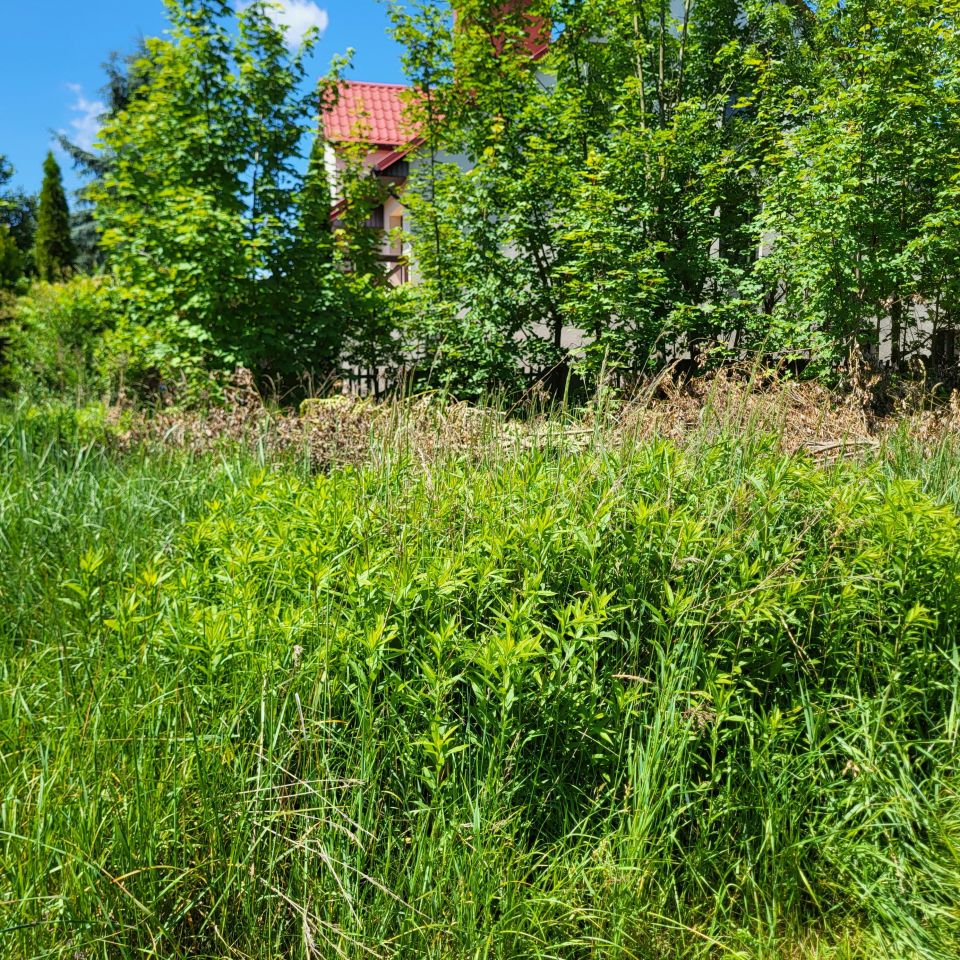 Działka inwestycyjna Kielce Dyminy-Wieś, ul. Sukowska. Zdjęcie 5