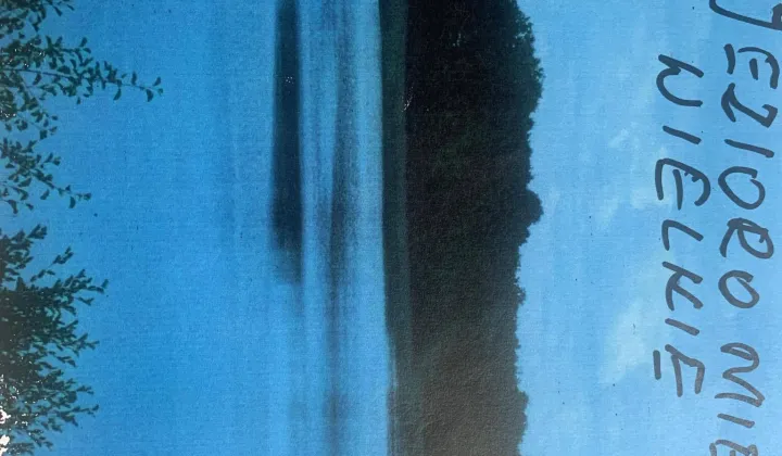 Działka leśna Mieruniszki