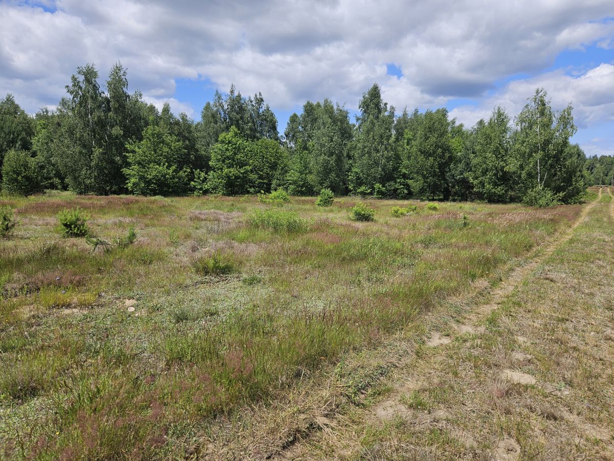 Działka budowlana Stare Wrońska. Zdjęcie 9