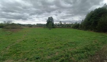 Działka rolno-budowlana Budy Michałowskie