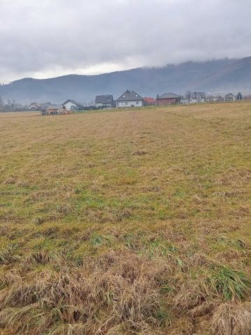 Działka budowlana Lipowa. Zdjęcie 1