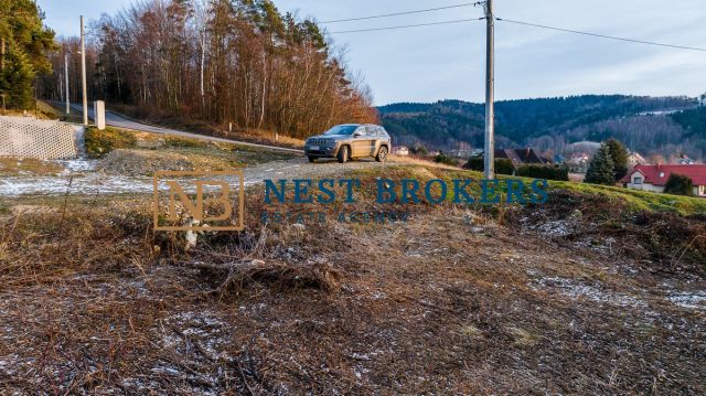 Działka budowlana Roztoka-Brzeziny. Zdjęcie 6