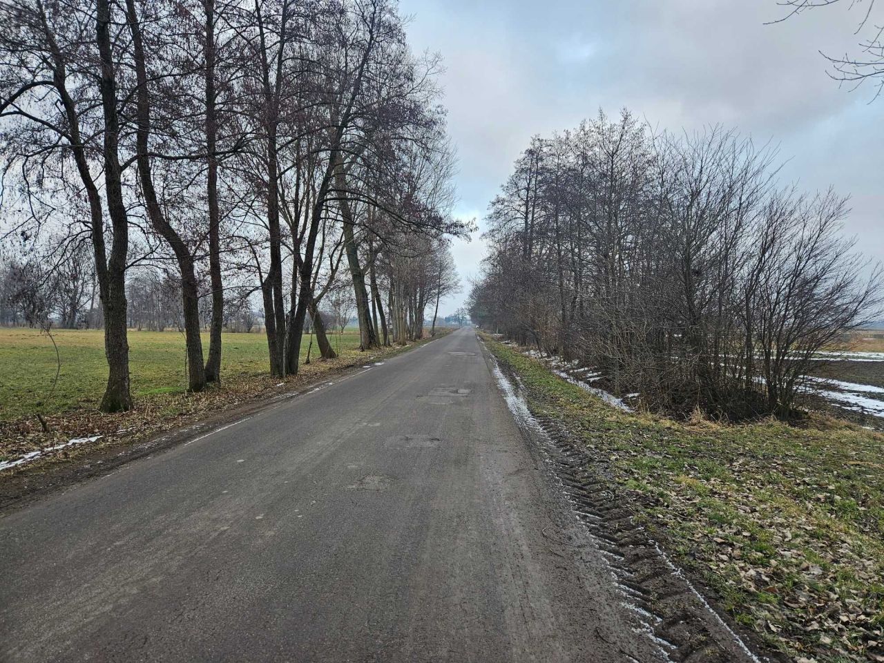 Działka rolno-budowlana Góra. Zdjęcie 2