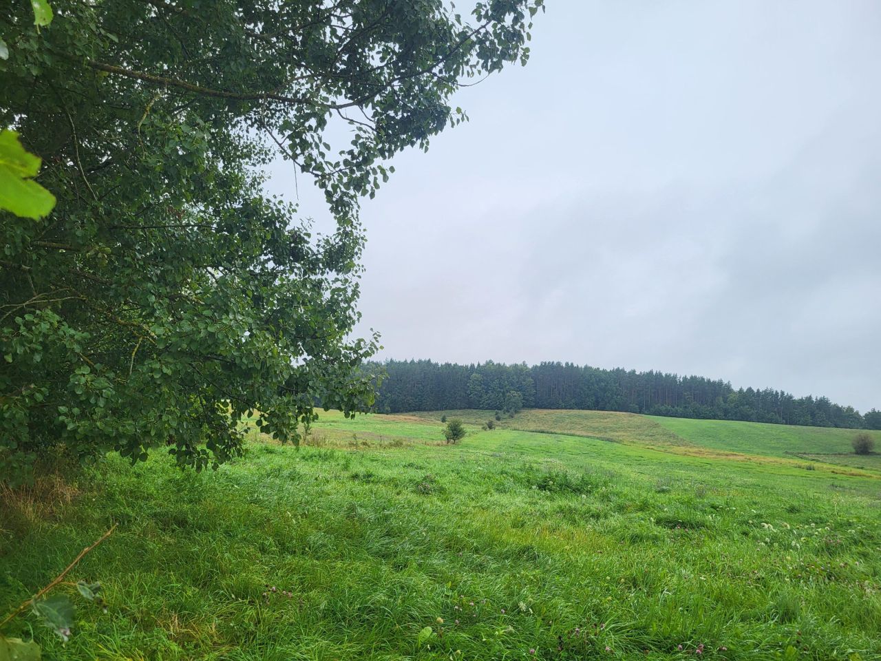 siedlisko, 3 pokoje Wojciechy, Wojciechy. Zdjęcie 7