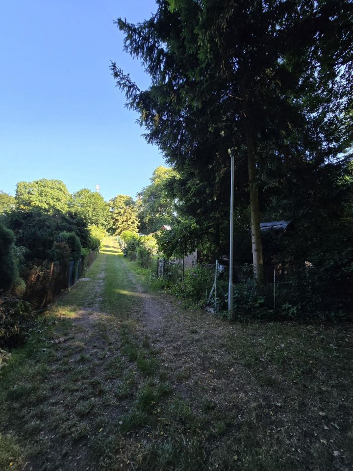 Działka rod Szczecin Podjuchy, ul. Żeliwna. Zdjęcie 7