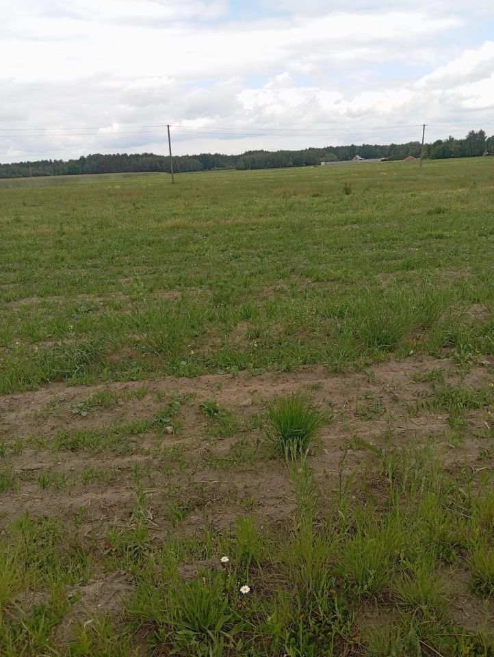 gospodarstwo Krzucz. Zdjęcie 13