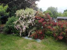 Działka rod Bytom, ul. Brzezińska. Zdjęcie 2