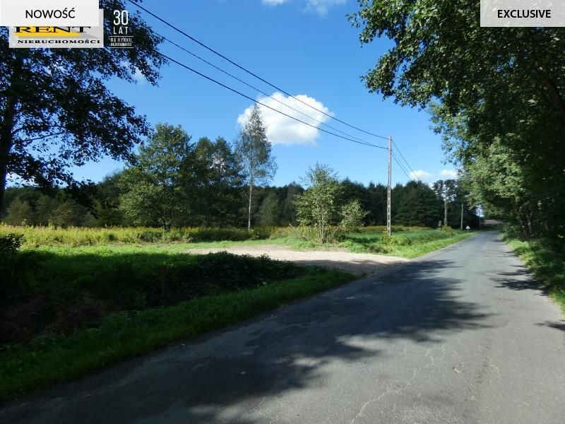 Działka budowlana Łoźnica. Zdjęcie 6
