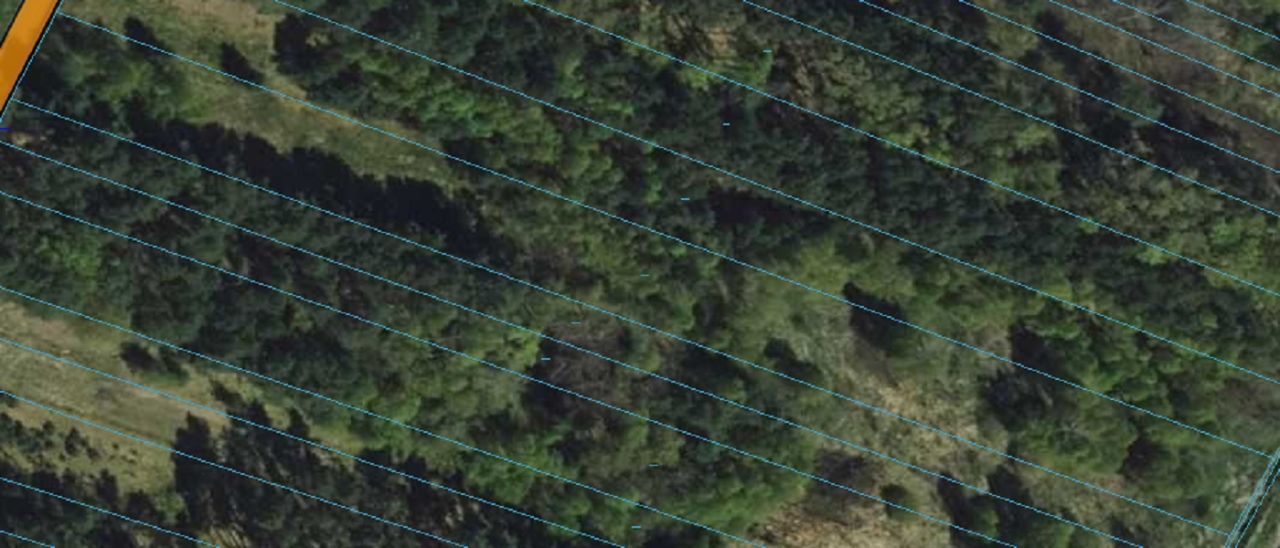 Działka budowlana Panki. Zdjęcie 10