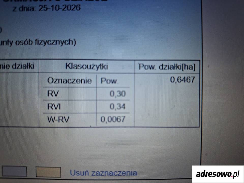 Działka rolna Grabówie. Zdjęcie 4