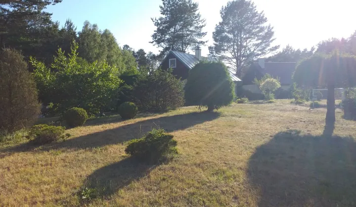 Działka rod Miodówko