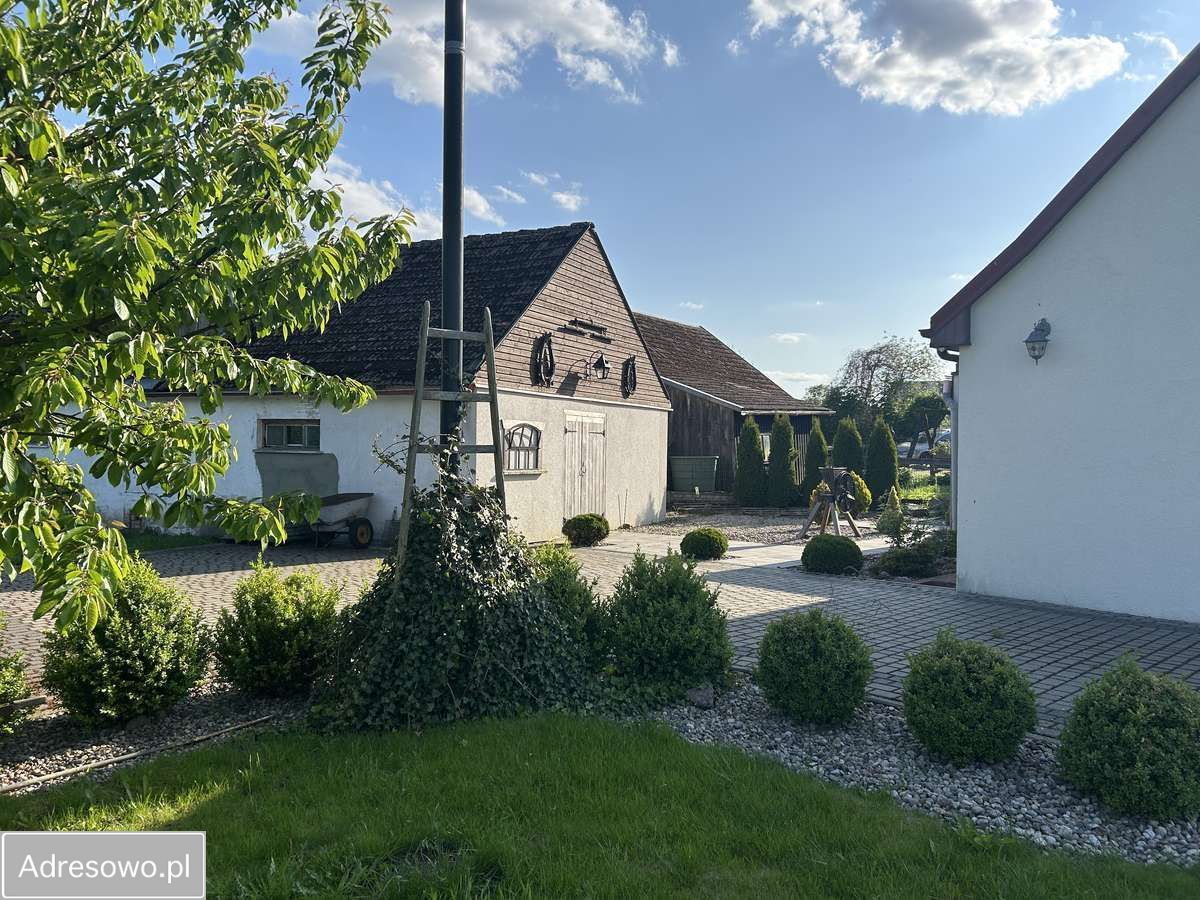 dom wolnostojący, 5 pokoi Drzewiany. Zdjęcie 17