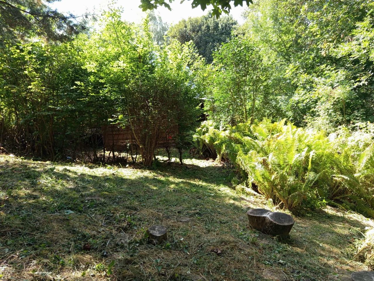 Działka budowlana Stary Majdan. Zdjęcie 6