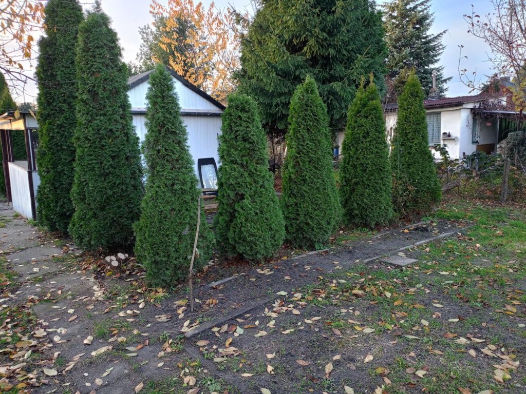 Działka rod Sosnowiec Niwka. Zdjęcie 3