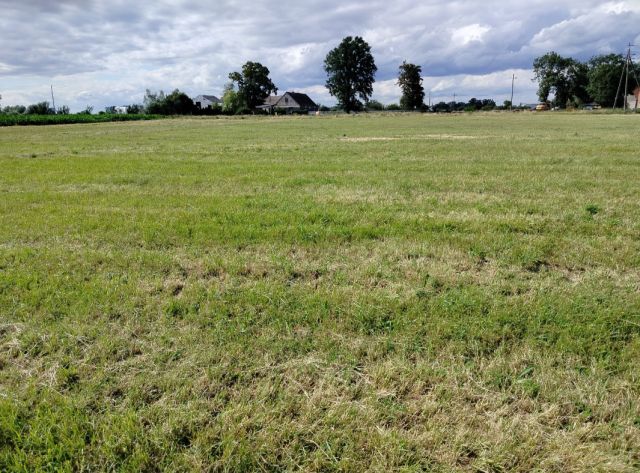 Działka rolna Głuchowo, ul. Lemierzycka. Zdjęcie 2