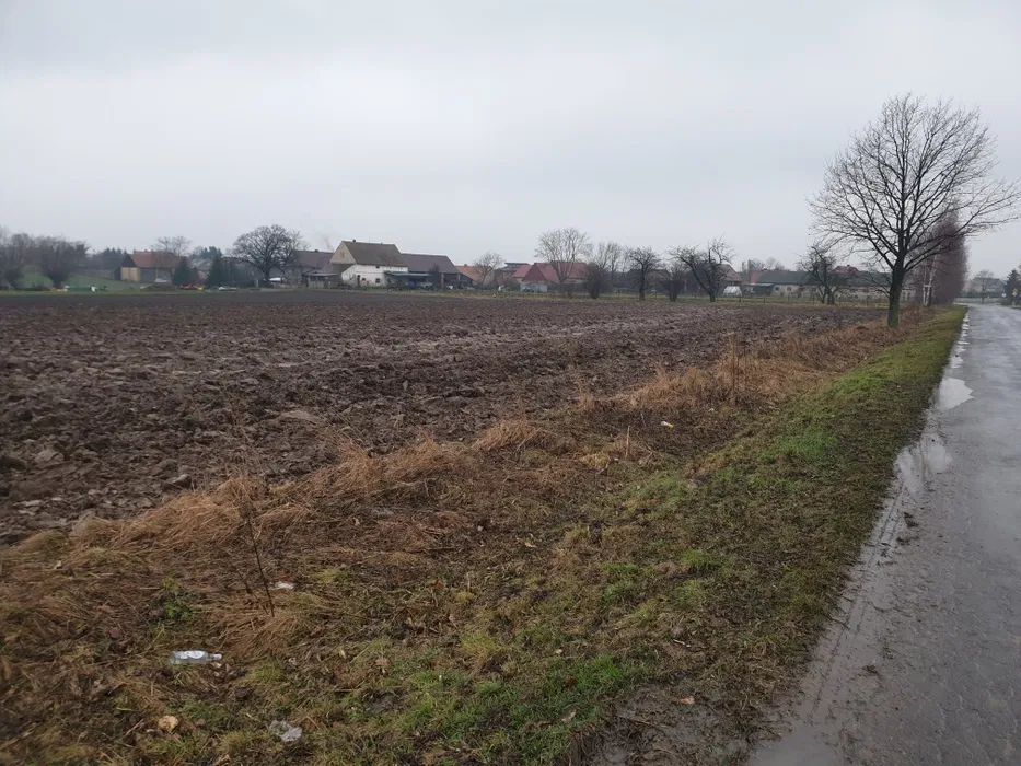 Działka rolna Osiek. Zdjęcie 3