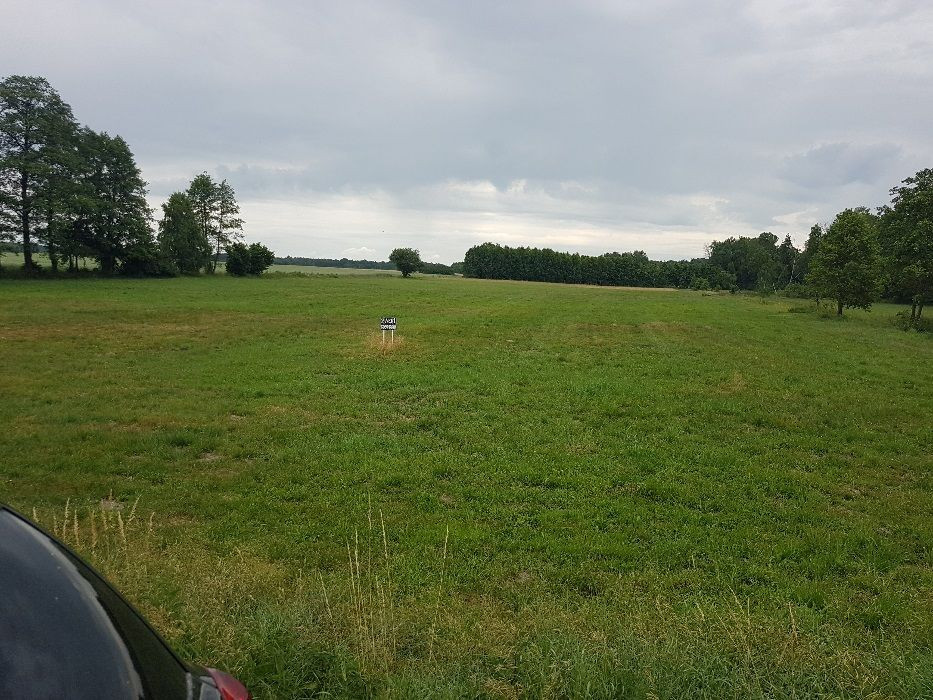 Działka budowlana Głuchów-Lasy. Zdjęcie 3