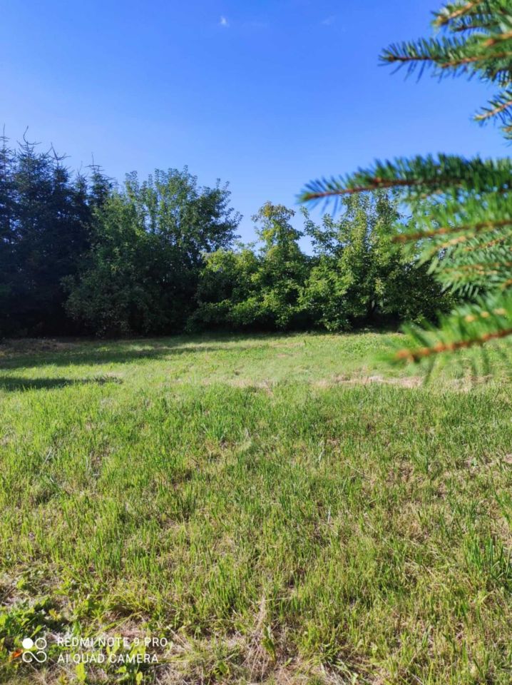 Działka rolna Rekowo. Zdjęcie 4