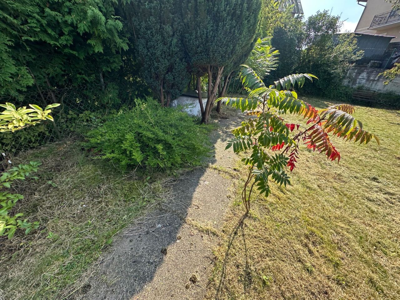 Działka rod Wejherowo, ul. Stefczyka. Zdjęcie 3