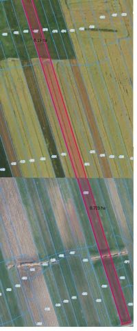 Działka rolna Lubecko. Zdjęcie 1