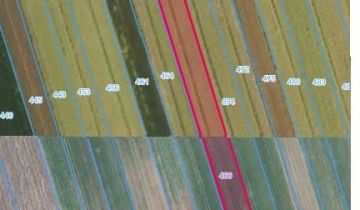 Działka rolna Lubecko