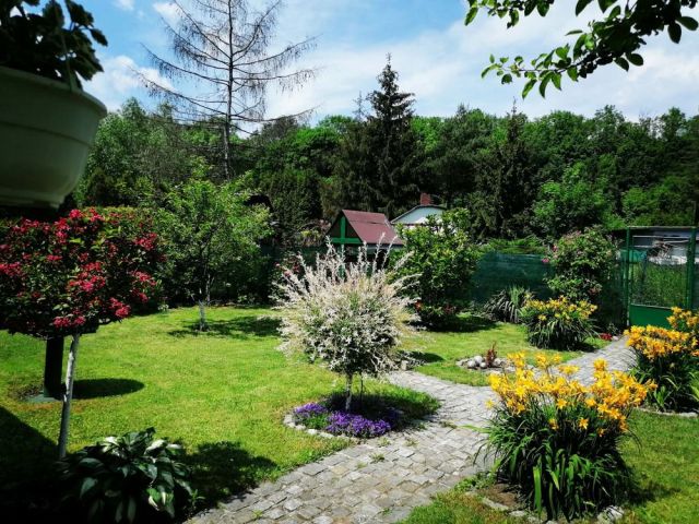 Działka rod Bytom Szombierki. Zdjęcie 1