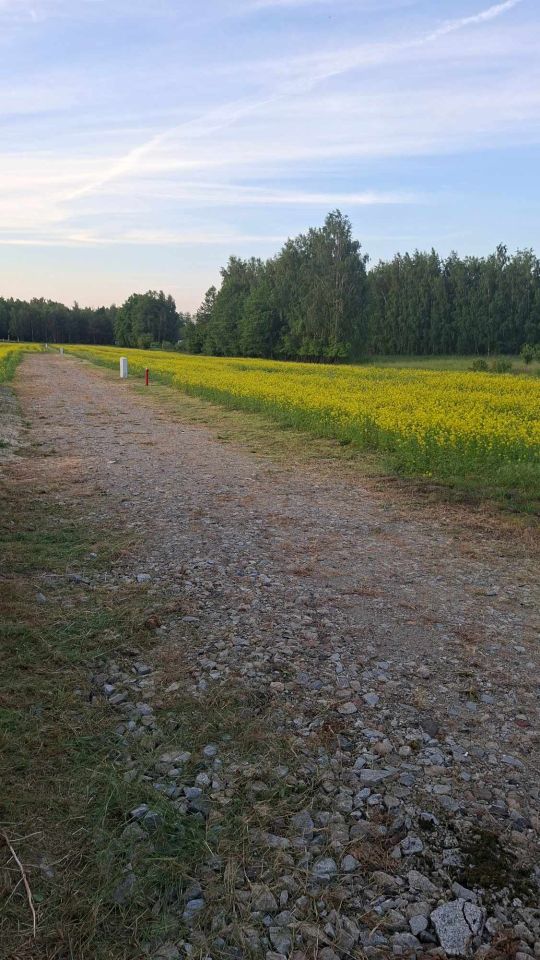 Działka budowlana Henryków, ul. Karmelowa. Zdjęcie 4
