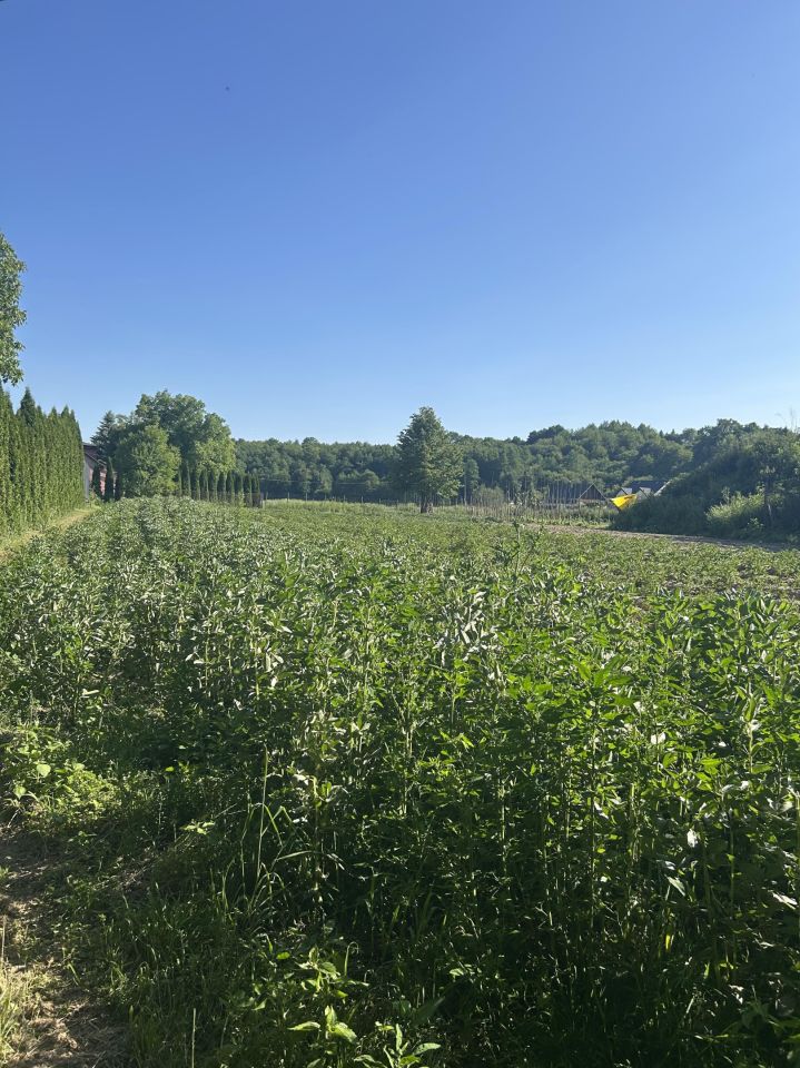 Działka rolna Giebułtów Podwikle, ul. Olszynowa