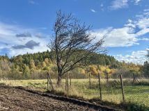 Działka budowlana Ryczówek, ul. Zadolna. Zdjęcie 2