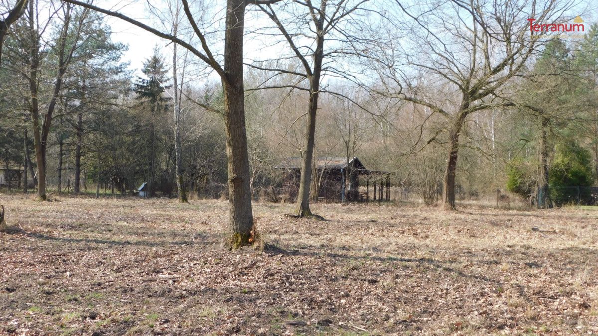Działka budowlana Chojnów, ul. Graniczka. Zdjęcie 9