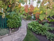 Działka rod Konin Wilków, ul. Świętojańska. Zdjęcie 4