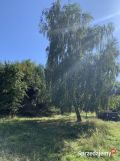 Działka rolno-budowlana Michałów Rudnicki. Zdjęcie 1