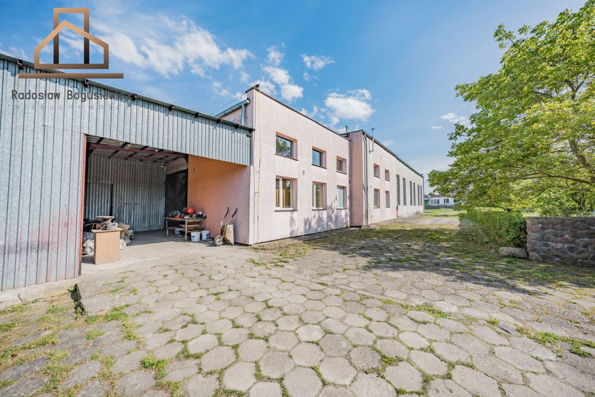Działka inwestycyjna Gronowo Elbląskie, ul. Przemysłowa. Zdjęcie 12