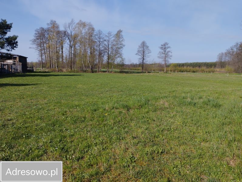 Działka budowlana Zofinin. Zdjęcie 7