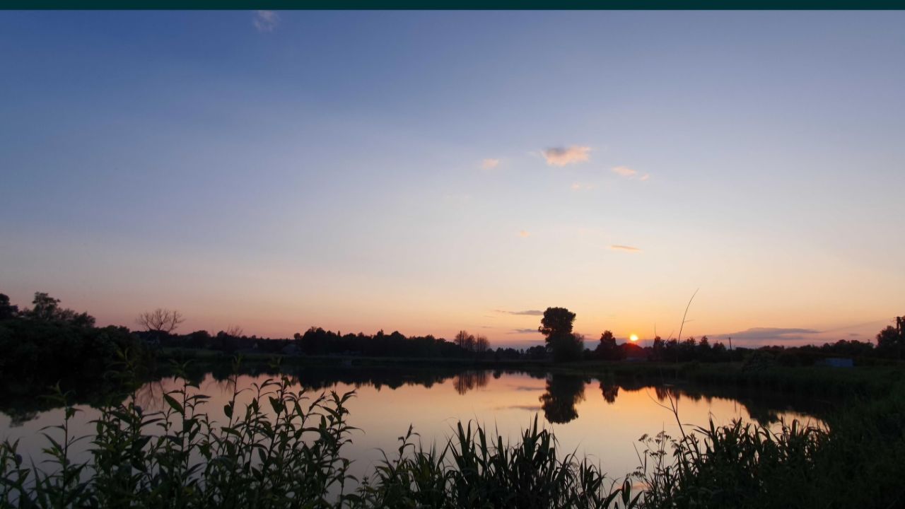 Działka siedliskowa Rogów. Zdjęcie 4