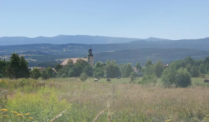 Działka rolno-budowlana Grudza