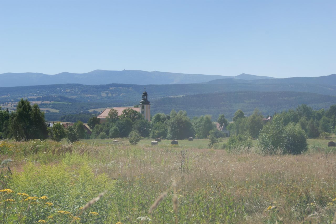 Działka rolno-budowlana Grudza