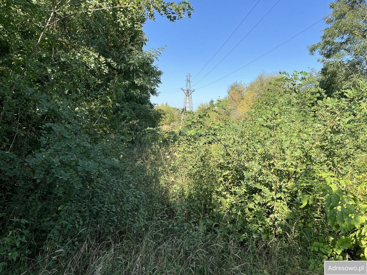 Działka rolna Trawniki-Kolonia. Zdjęcie 10