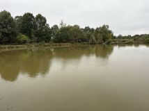 Działka Wojciechów. Zdjęcie 4
