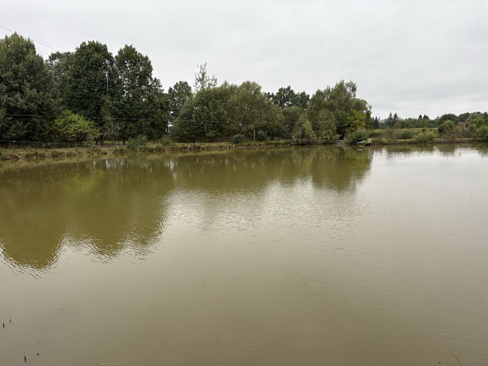 Działka Wojciechów. Zdjęcie 5
