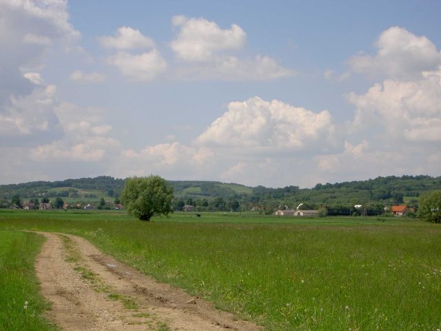 Działka rekreacyjna Markuszowa. Zdjęcie 1