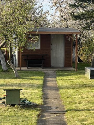 Działka rod Opole Zaodrze, ul. Torowa. Zdjęcie 1