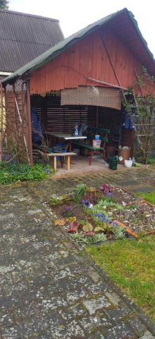 Działka rekreacyjna Biedrusko. Zdjęcie 1